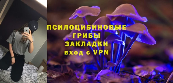 PSILOCYBIN Белокуриха